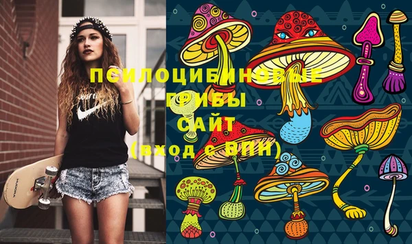 мдпв Армянск