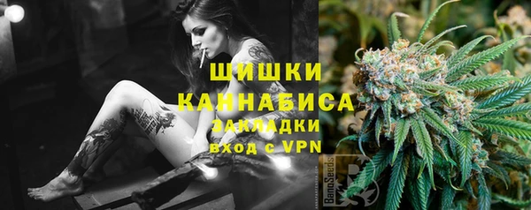 трава Няндома